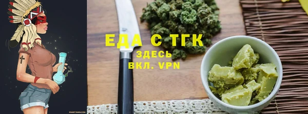 индика Надым