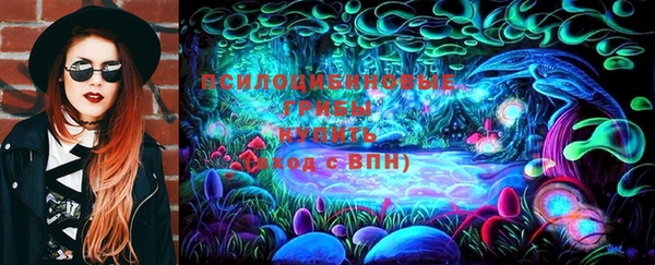 индика Надым