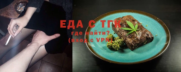 индика Надым