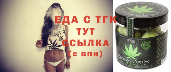 стаф Бородино
