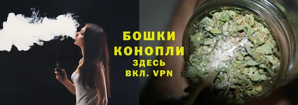 стаф Бородино
