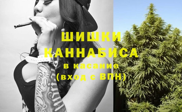 сатива Бугульма
