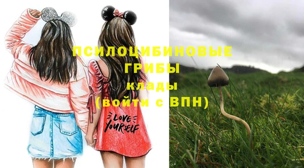 стаф Бородино
