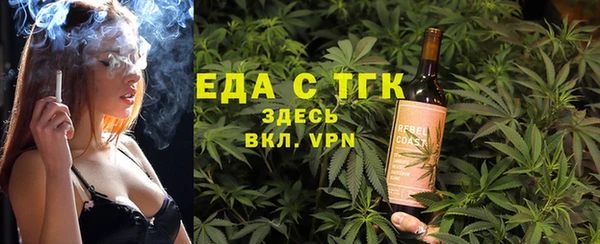 стаф Бородино