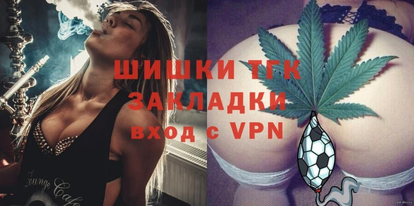 стаф Бородино