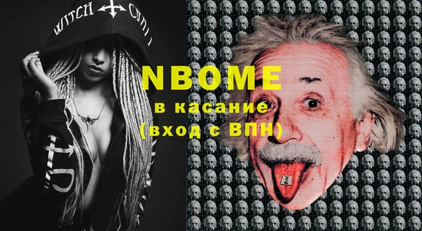 стаф Бородино