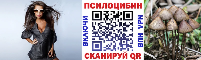 hydra ссылка  Короча  Галлюциногенные грибы Magic Shrooms 
